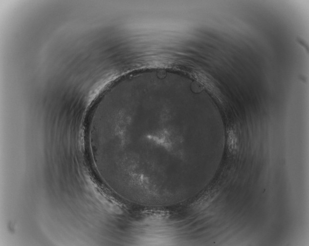 X0000102240676200808011249