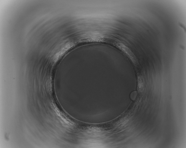 X0000102240677200808011249