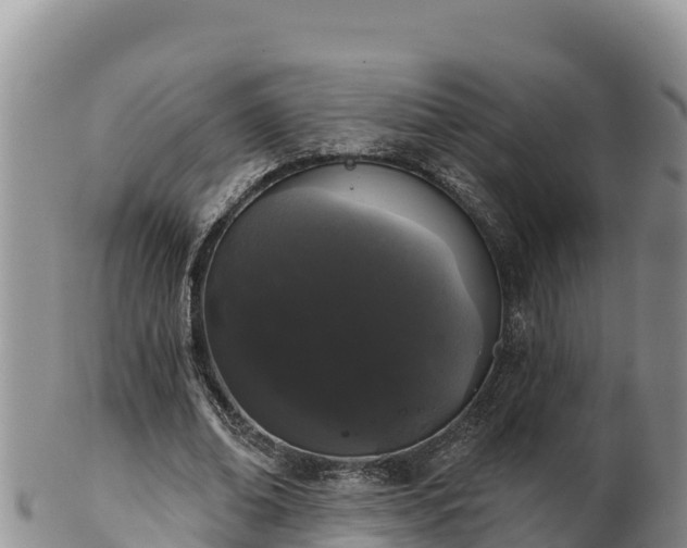 X0000102240678200808011249