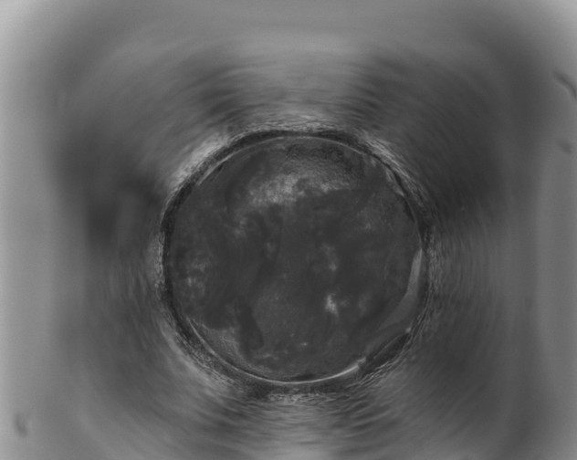 X0000102240679200808011249