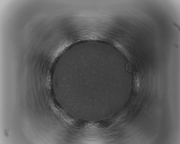 X0000102240680200808011248