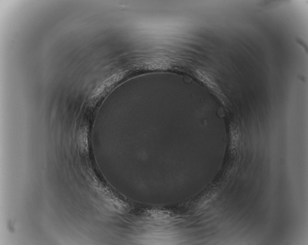 X0000102240681200808011248