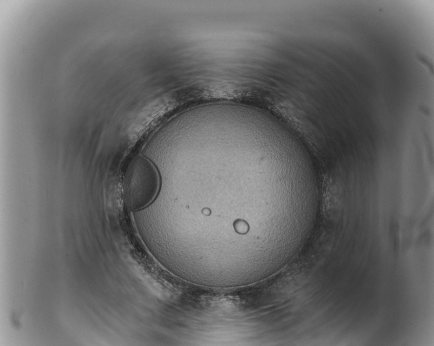 X0000102240683200808011248