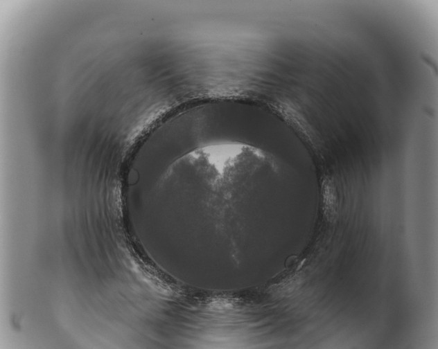 X0000102240684200808011248