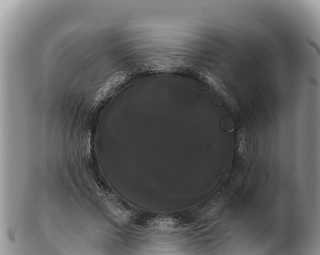 X0000102240685200808011248