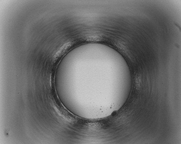 X0000102240686200808011248