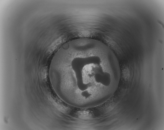 X0000102240687200808011248