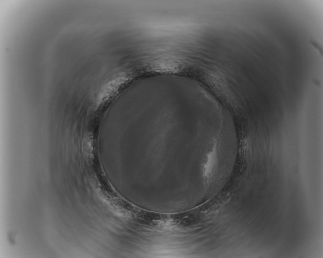 X0000102240688200808011248