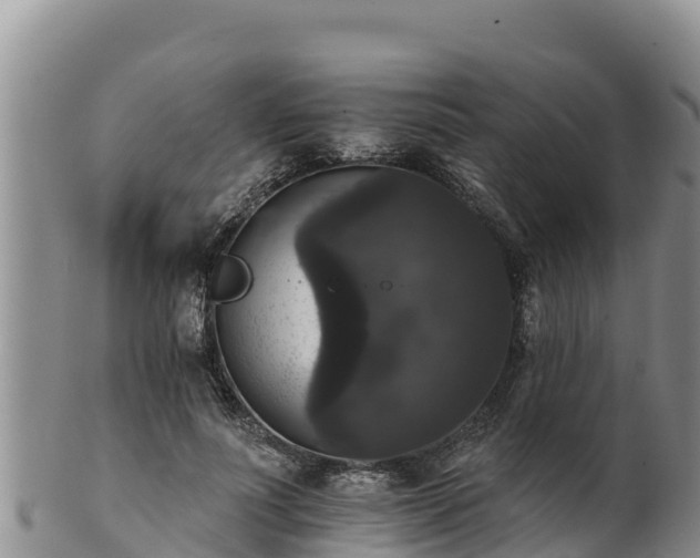 X0000102240691200808011248