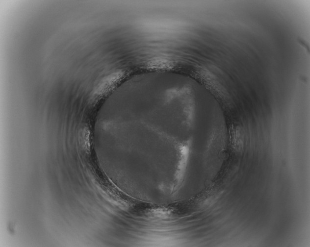 X0000102240692200808011248