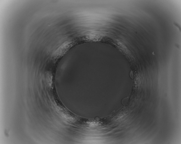 X0000102240693200808011248