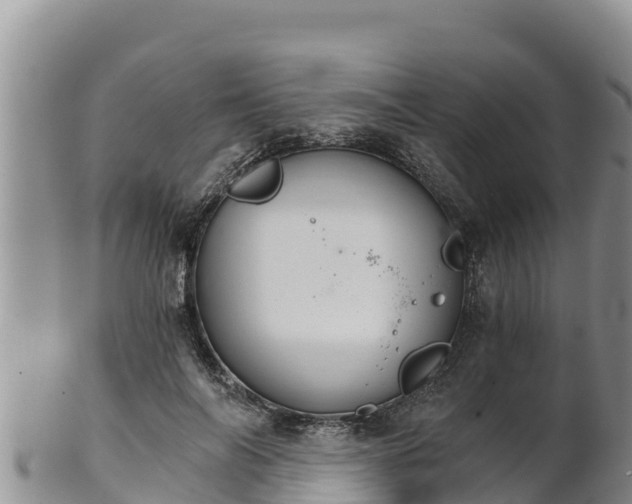 X0000102240694200808011248