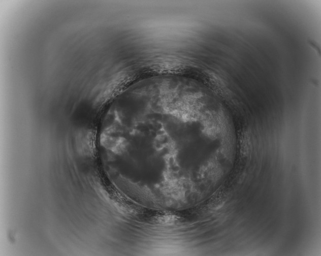 X0000102240695200808011248