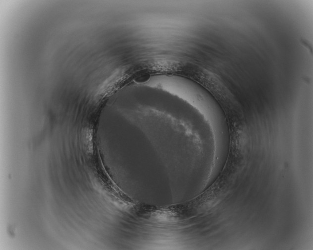 X0000102240696200808011248