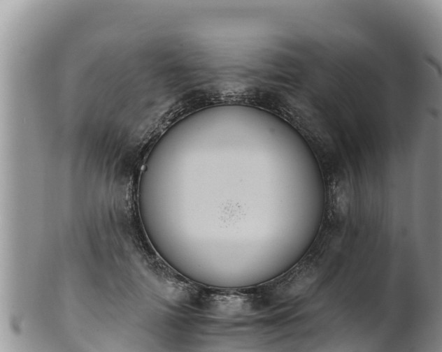 X0000102240698200808011248