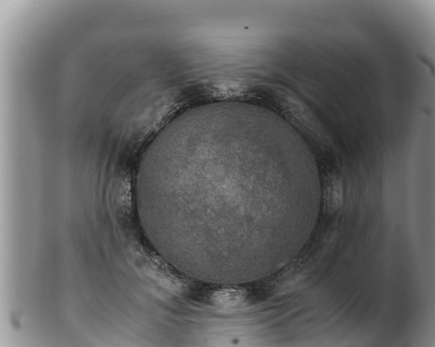 X0000102240700200808011248