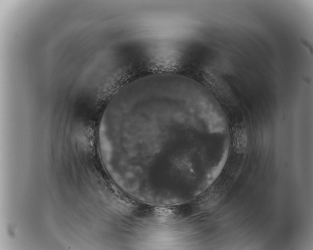 X0000102240701200808011248