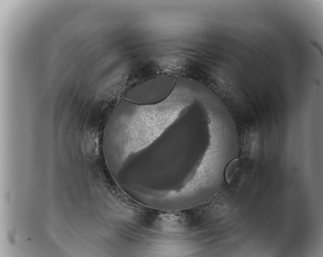 X0000102240703200808011248