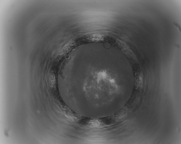 X0000102240704200808011248