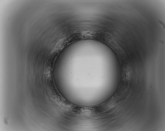 X0000102240706200808011248