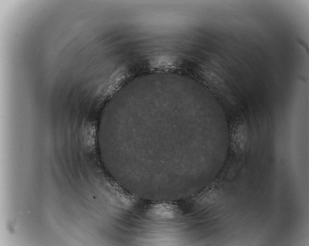 X0000102240708200808011248