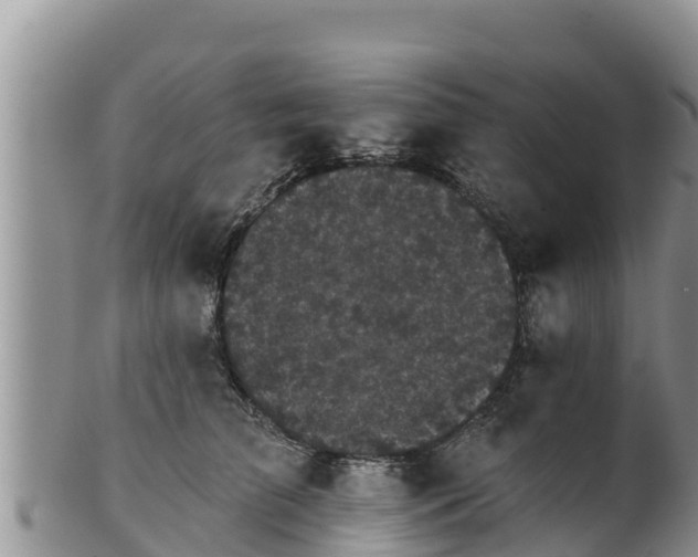 X0000102240709200808011248