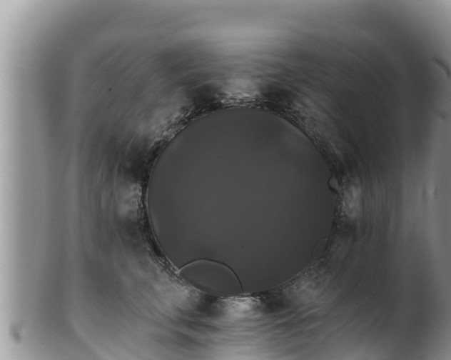 X0000102240711200808011248