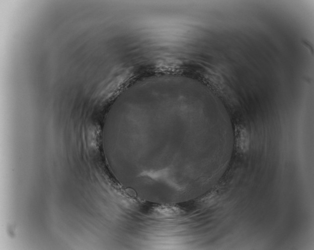 X0000102240712200808011248