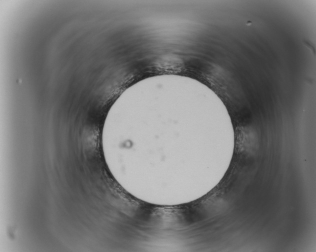 X0000102240713200808011248