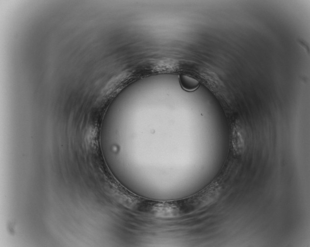 X0000102240714200808011248