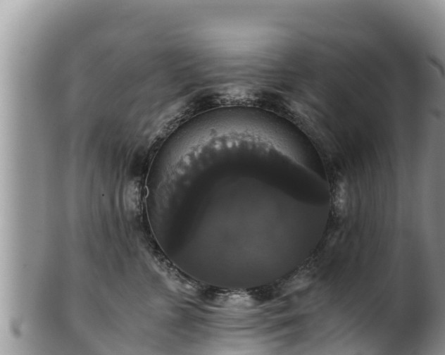 X0000102240715200808011248