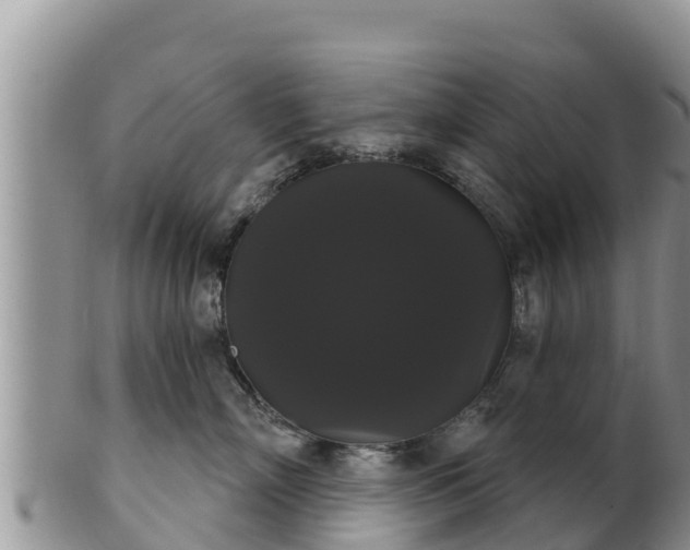 X0000102240718200808011248