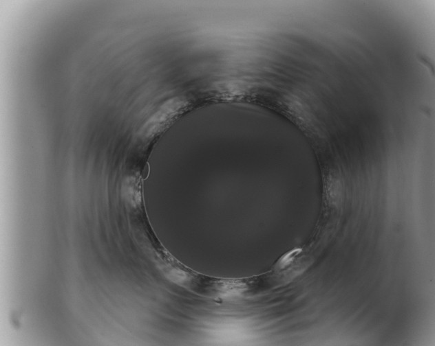 X0000102240719200808011248