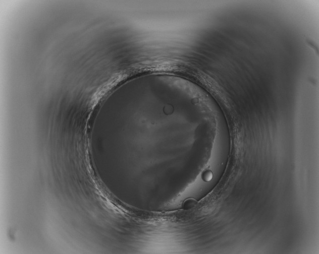 X0000102240721200808011247