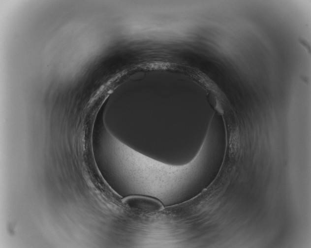 X0000102240722200808011247