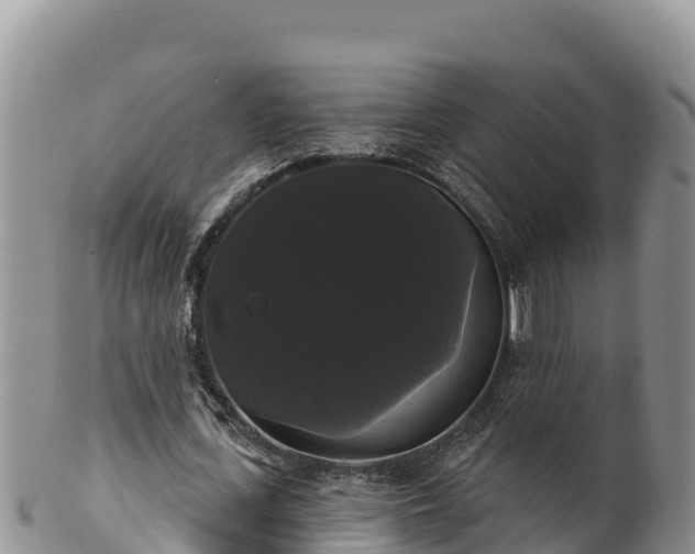 X0000102240723200808011247