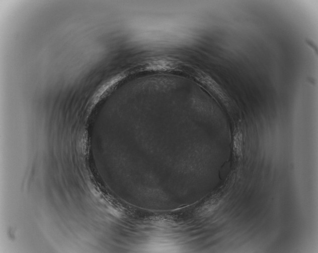 X0000102240724200808011247