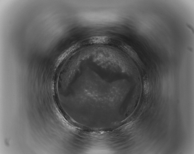 X0000102240725200808011247