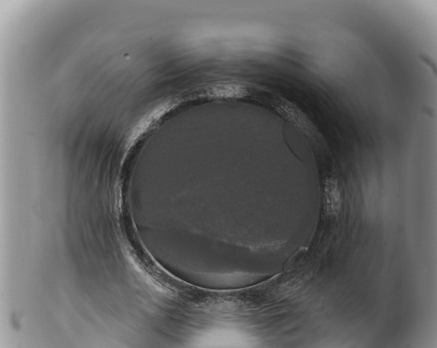 X0000102240726200808011247