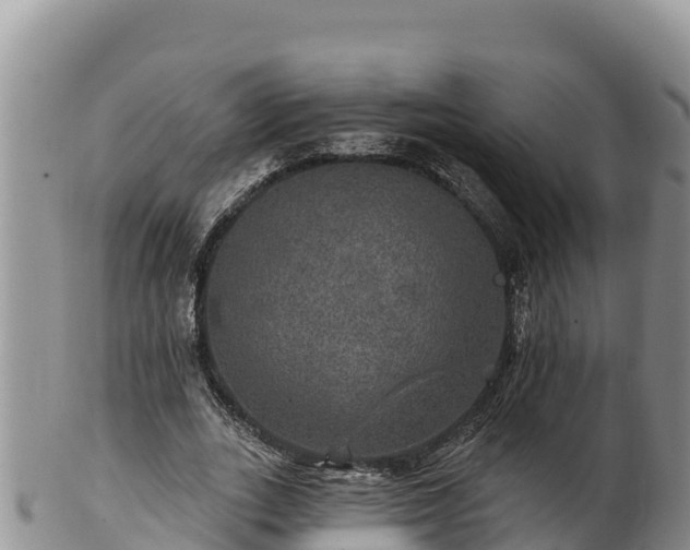 X0000102240727200808011247