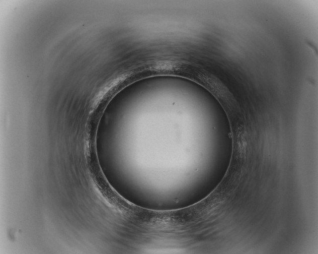 X0000102240728200808011247