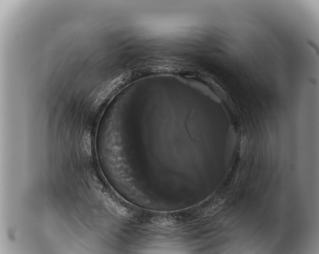 X0000102240729200808011247