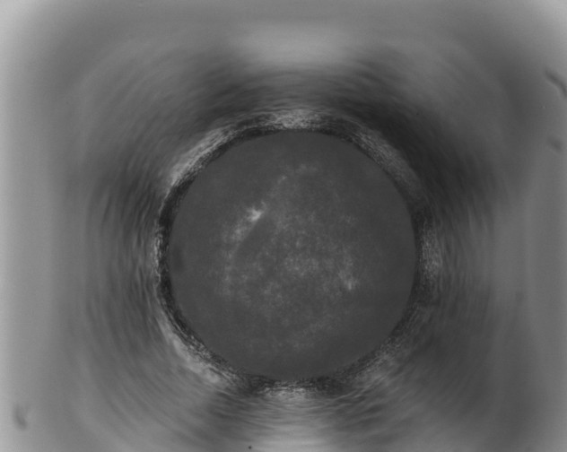 X0000102240730200808011247