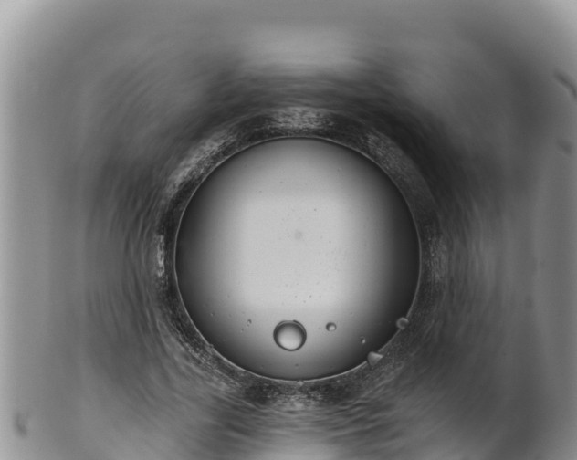 X0000102240731200808011247