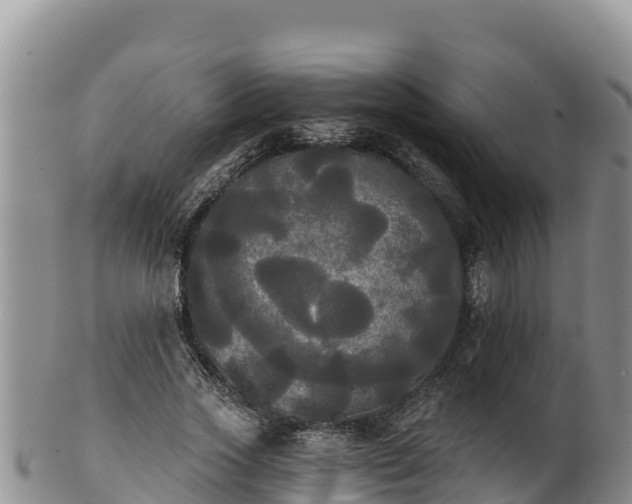 X0000102240733200808011247