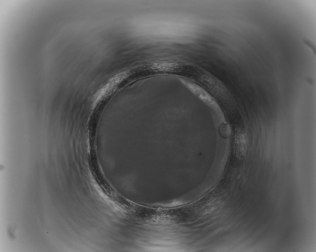 X0000102240734200808011247