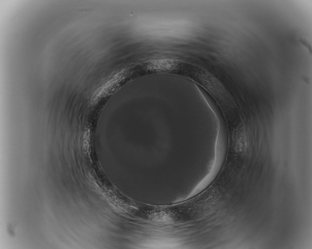 X0000102240735200808011247