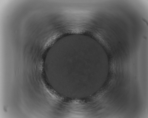 X0000102240736200808011247