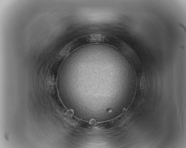 X0000102240737200808011247