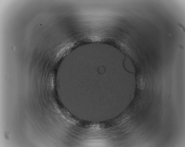 X0000102240740200808011248